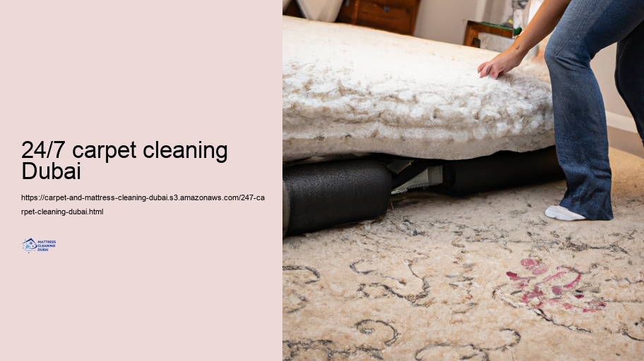 Advanced Cleansing Techniques for Carpets and Cushions