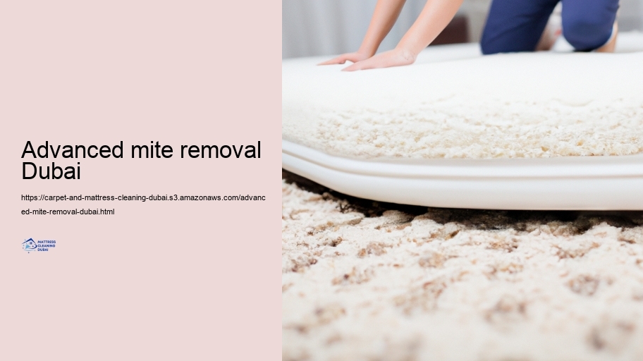 Advanced Cleaning Techniques for Carpets and Bed bed mattress