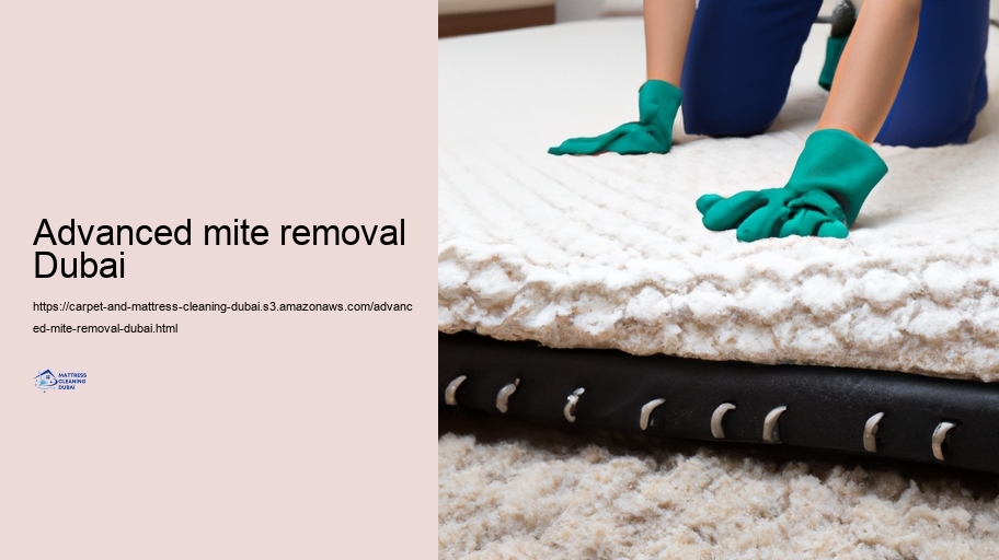 Preserving Your Carpetings and Mattresses After Expert Cleansing