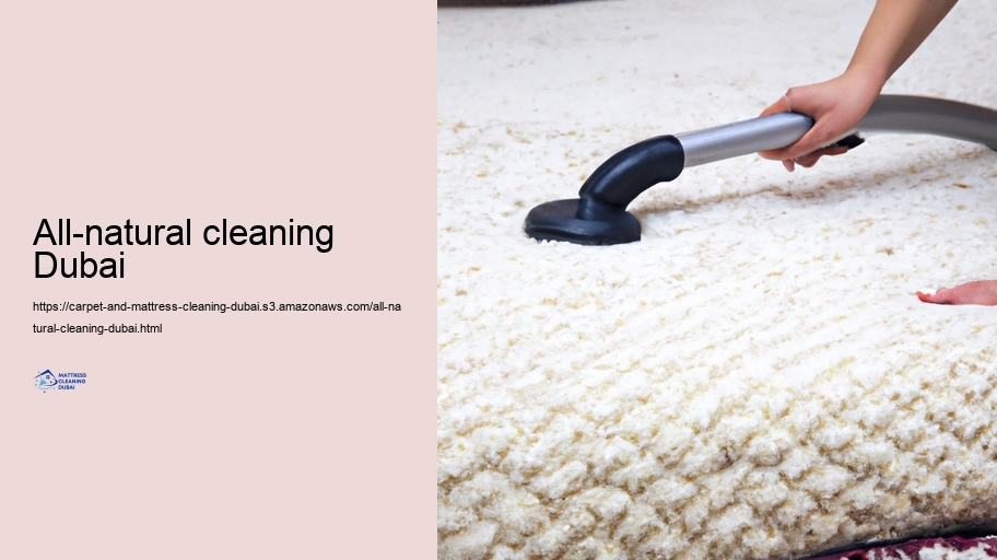 Choosing the Right Cleaning Company: What to Look for