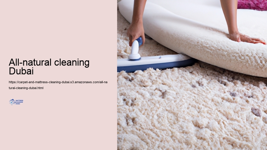 Advanced Cleansing Techniques for Carpets and Paddings