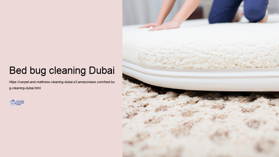 Safeguarding Your Rugs and Mattresses After Specialist Cleansing