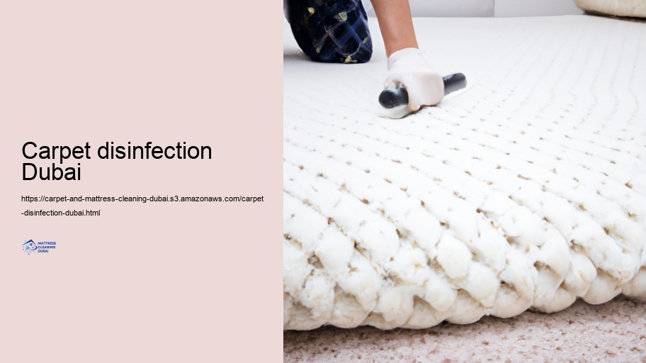 Advanced Cleansing Techniques for Carpets and Mattresses