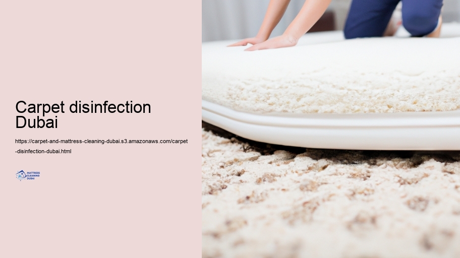 Discolor Removal Tips for Carpets and Mattresses