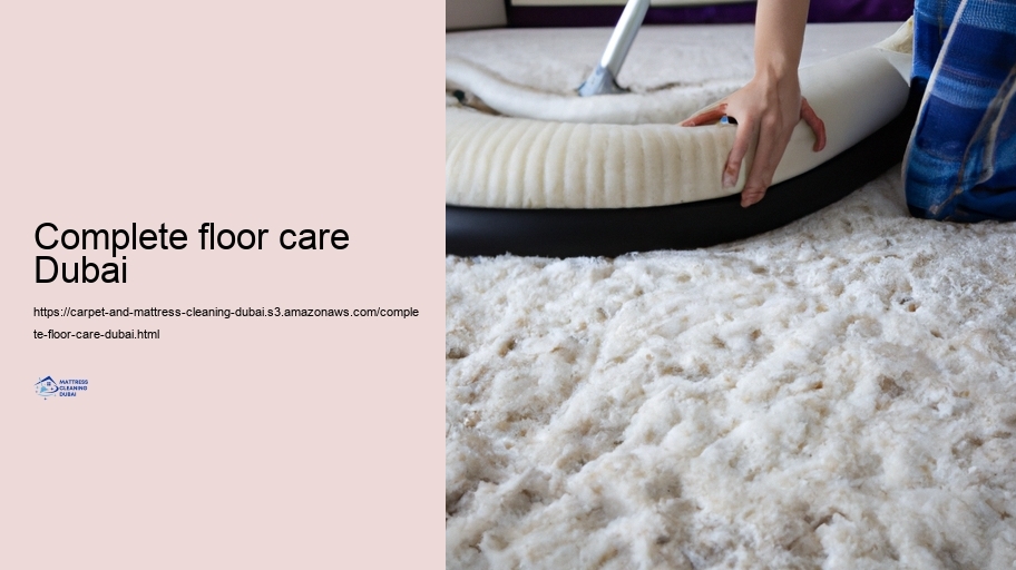 Advanced Cleaning Approaches for Rugs and Bed pillow