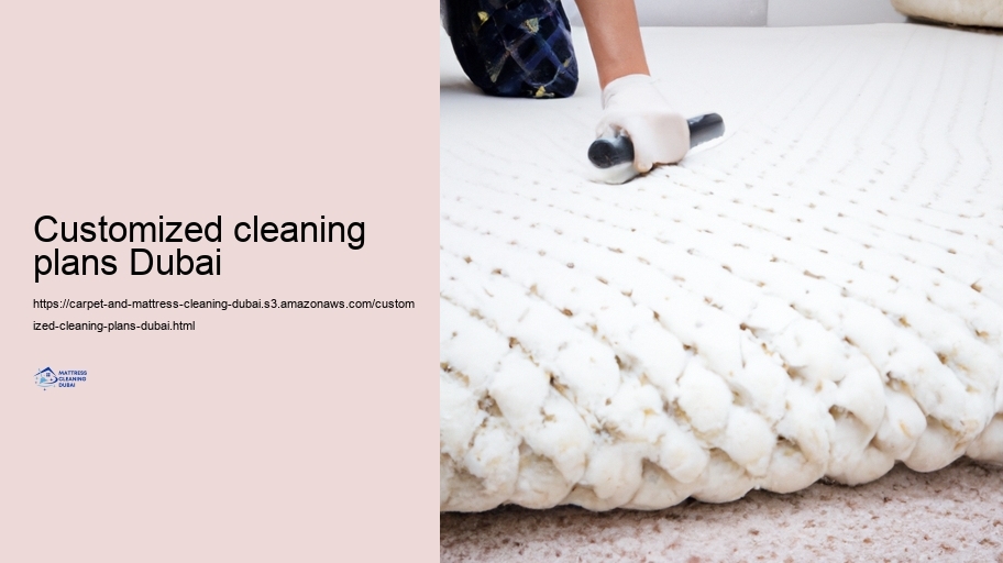 Advanced Cleansing Techniques for Carpetings and Paddings