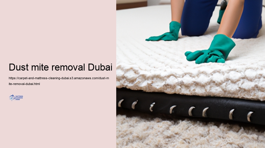 Advanced Cleaning Methods for Carpets and Bed bed mattress