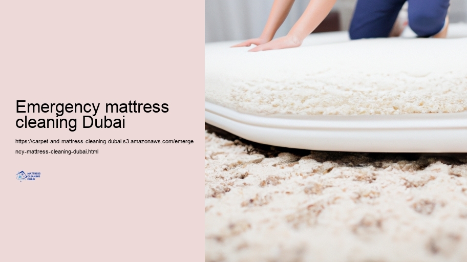 Maintaining Your Carpetings and Mattresses After Professional Cleansing