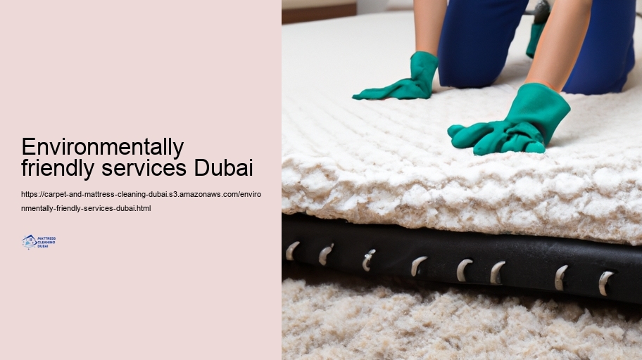 Advanced Cleansing Approaches for Rugs and Mattresses