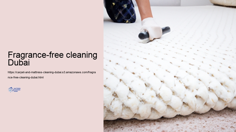 Advanced Tidying up Methods for Rugs and Mattresses