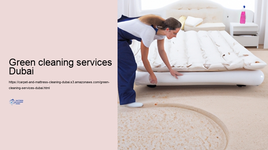 Taint Removal Tips for Carpets and Mattresses