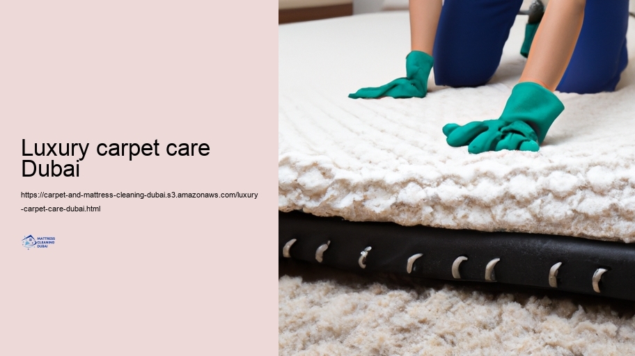 Advanced Cleansing Approaches for Carpets and Bed padding