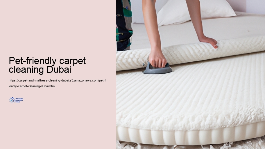 Advanced Tidying up Strategies for Carpetings and Mattresses