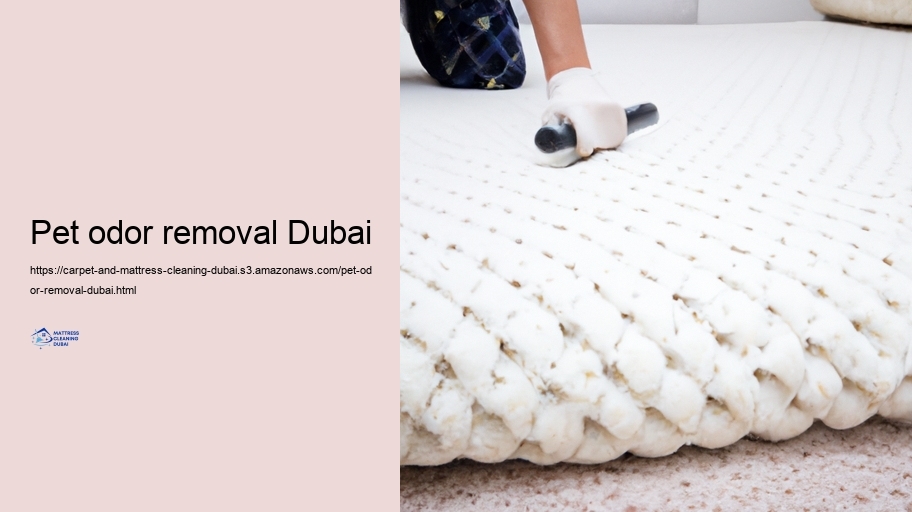 Preserving Your Carpetings and Mattresses After Specialist Tidying up